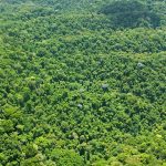 محاسبه تراکم تاج پوشش جنگل از داده های لایدار در ArcGIS