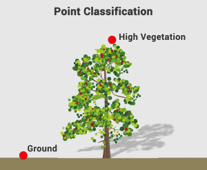 Point-Classification